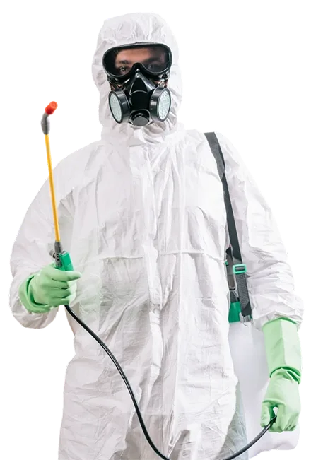 Affordable Pest Control