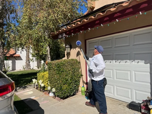 Reliable Pest Control