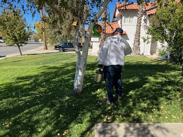 Reliable Pest Control Reliable Pest Control