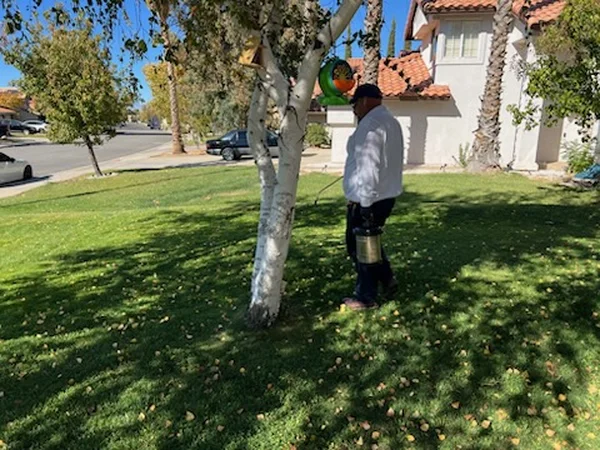 Reliable Pest Control Reliable Pest Control