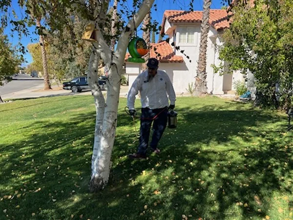 Reliable Pest Control