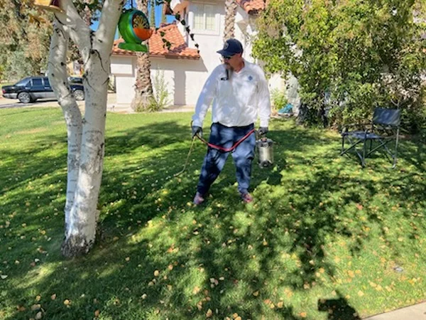 Reliable Pest Control Reliable Pest Control