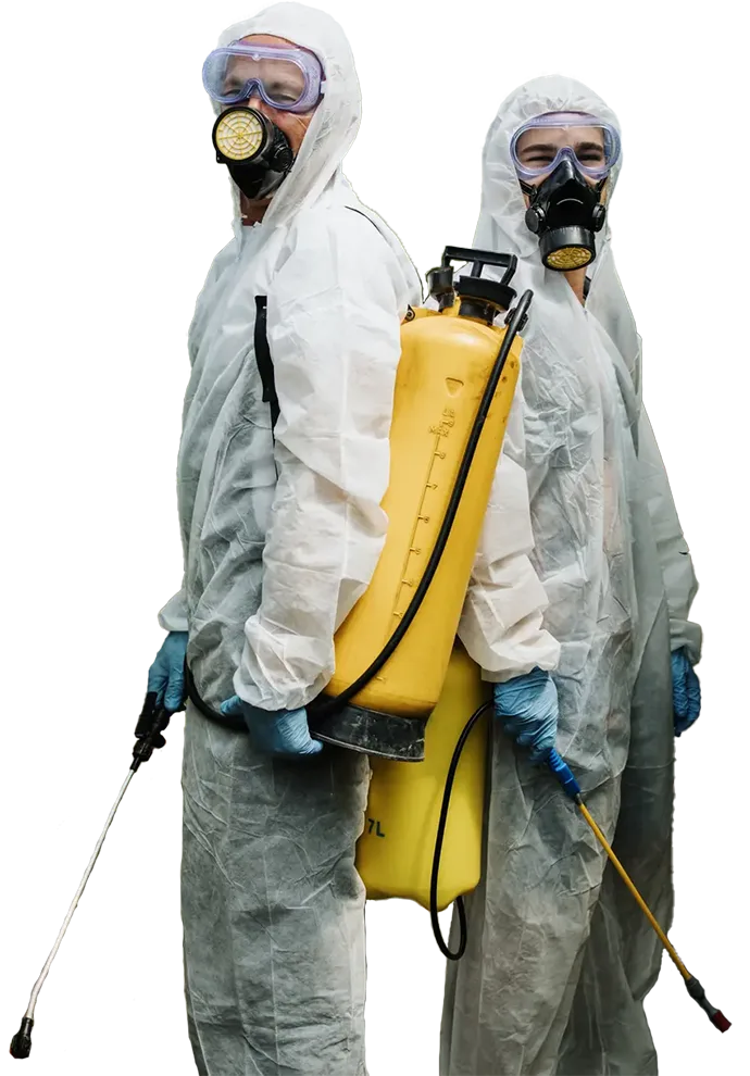 Professional Pest Control