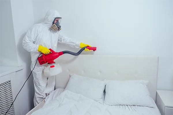 Bed Bug Control